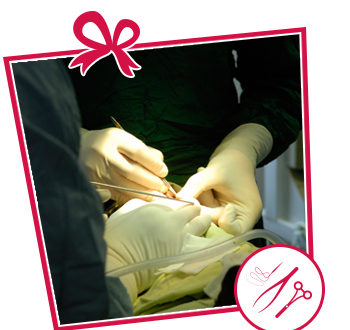 KIT MATERIALE CHIRURGICO MONOUSO
